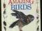Alexandra Parsons AMAZING BIRDS op. twarda