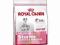 Royal canin medium starter mother&babydog4kg