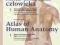 Atlas anatomii człowieka t. 1 i 2 + Indeks