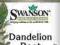 Dandelion root - 60 kapsułek / 515mg SWANSON