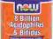 8 Bilion Acidophilus & Bifidus 120 kaps NOW
