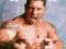 WWE - Wrestling - Batista - plakat 40x50 cm