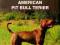 -40% American pit bull terier
