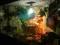 Narożne terrarium agama gekon duże