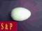 Jaja styropianowe jajka zestaw 6,9,12 cm 15 szt
