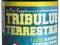 Bio Tech USA Tribulus Terrestris 60 kap. HURTOWNIA