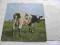 PINK FLOYD Atom heart mother UK