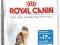 Royal Canin Light 40 - 400g