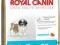 Royal Canin Shih Tzu 28 JUNIOR - 500 g