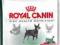 Royal Canin Sensible 30 Mini - 2,5 kg