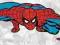 Spiderman (Crowling) - plakat 53x158 cm