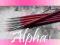 alpha - PĘDZELEK DO ARTYSTYCZNEGO ZDOBIEŃ NR 2 !