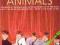 The Animals Best Of The 60's