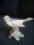 porcelanowy ptaszek Hiszpania