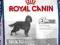 Royal Canin, MAXI Sterilised 12kg
