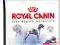 Royal Canin,MAXI  SENSIBLE, 2x15kg + EDUC.