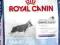 Royal Canin, MAXI JUNIOR  - 2x15kg, Warszawa.