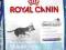 Royal Canin, MAXI JUNIOR ACTIVE, 2x15kg.  +EDUC