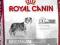 Royal Canin, MEDIUM STERILISED - 12kg. + GRATIS
