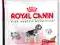 Royal Canin, MEDIUM Light 27 - 13kg. + GRATIS !!!