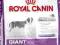 Royal Canin,GIANT JUNIOR, 2x15kg + SUPER GRATISY.