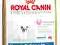 Royal Canin, FRENCH BULLDOG JUNIOR,4kg