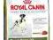 Royal Canin, Great Dane 23, 2x12kg + GRATIS - EDUC