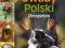 CHRZĄSZCZE Owady Polski + DVD KOMPENDIUM Wiedzy
