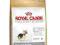 ROYAL CANIN YORK JUNIOR 8kg + MEGA BOX !!!