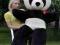 PANDA GIGANT 170cm.SERCE Z NADRUKIEM! MEGA PREZENT