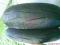 190/55/17 Dunlop Sportmax GP D211 2010r 120/70/17