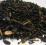HIT CENOWY! Herbata zielona jaśminowa, z Chin,300g