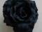 Czarna róża gumko-broszka (12cm)