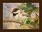 Sikora brunatna - akwarela ptaki 18x24 BCM
