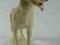 figurka porcelanowa pies Chodzież