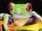 Frogs - kalendarz ścienny na 2012 rok