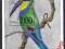 SIERRA LEONE - Ptaki - Czyste