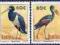 NAMIBIA - Ptaki - Czyste