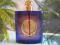 YVES SAINT LAURENT YSL BELLE D'OPIUM 90ML EDP
