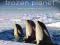 BBC Earth - Frozen Planet - Kalendarz 2012