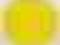 Maczek żółty 25g - perłowy