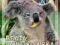 Blondynka na Tasmanii - ebook PDF