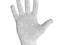Rękawice dziane AUK r.8