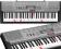 Keyboard CASIO LK-230 + GRATISY !!! KOMPLET LK230