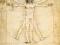 Leonardo Da Vinci - Anatomia - plakat 91,5x61 cm