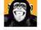 The Chimp PopArt - Steez DJ - plakat 91,5x30,5 cm