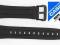 PASEK ZEGARKA CASIO AQ-160 AQ-160W AQ-163W AW-81