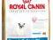 ROYAL CANIN FRENCH BULLDOG JUNIOR 4kg + KURIER