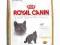 ROYAL CANIN BRITISH 4kg + WIADRO + KURIER GRATIS