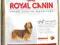 ROYAL CANIN DACHSHUND JAMNIK ADULT 2kg + KURIER